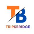 TRIIPSBRIDGE LOGO